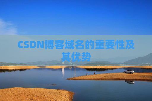 CSDN博客域名的重要性及其优势